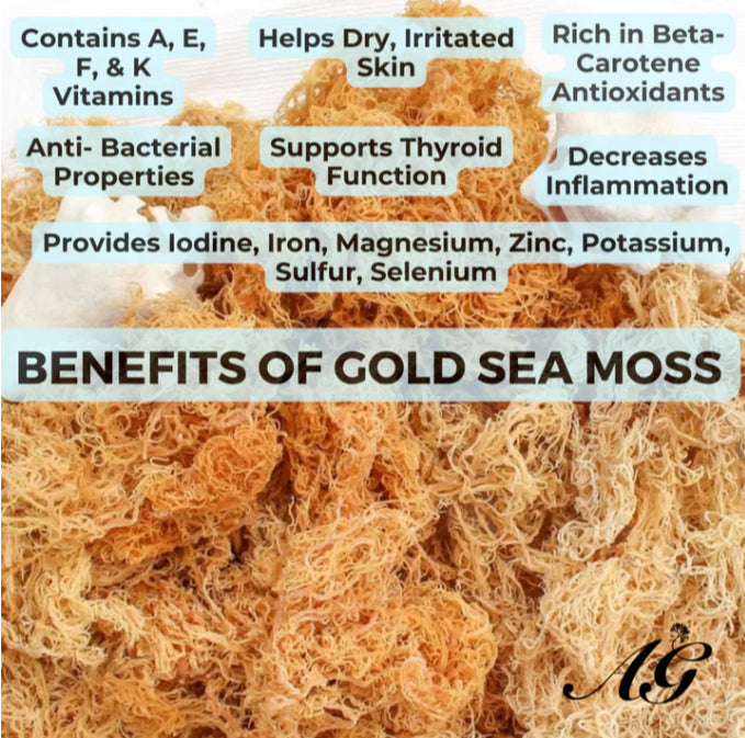 Bold Gold Sea Moss